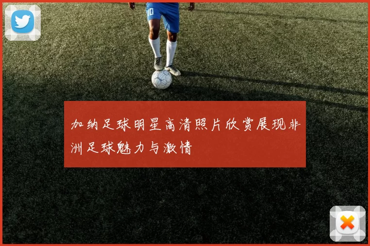 加纳足球明星高清照片欣赏展现非洲足球魅力与激情
