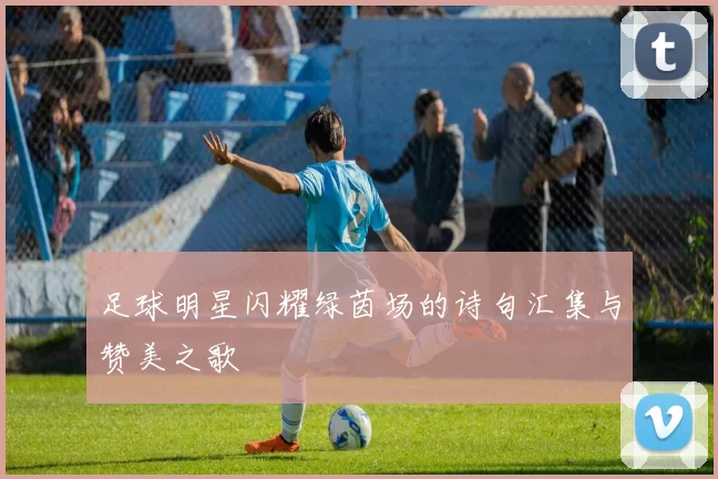 足球明星闪耀绿茵场的诗句汇集与赞美之歌