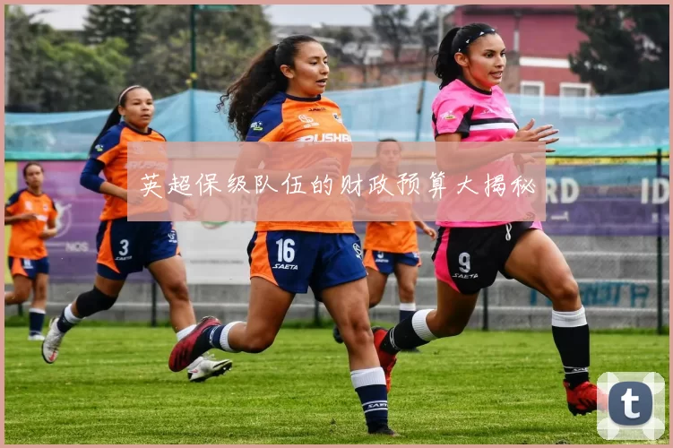英超保级队伍的财政预算大揭秘