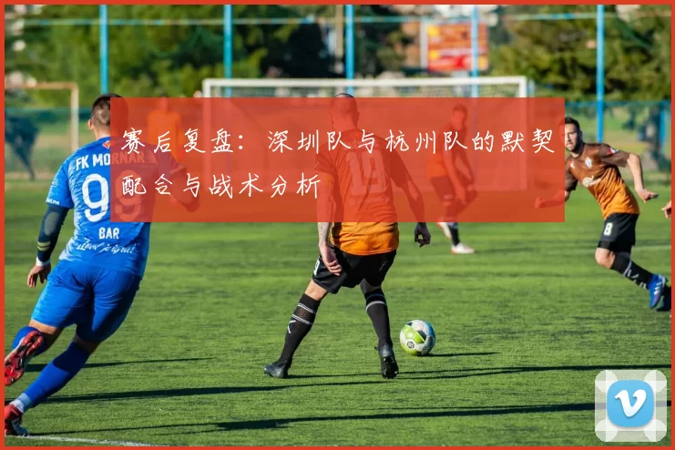 赛后复盘：深圳队与杭州队的默契配合与战术分析