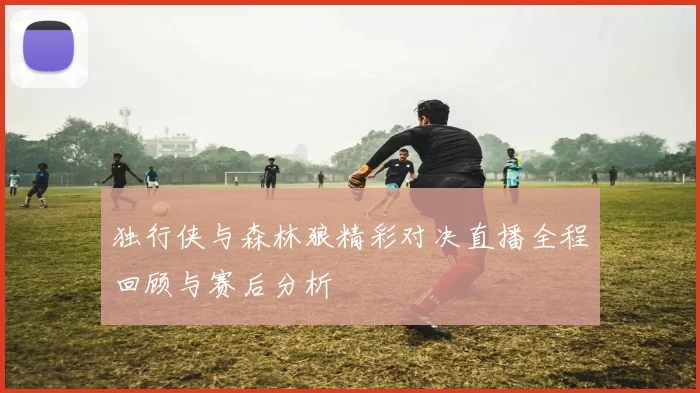 独行侠与森林狼精彩对决直播全程回顾与赛后分析