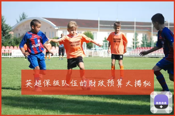 英超保级队伍的财政预算大揭秘