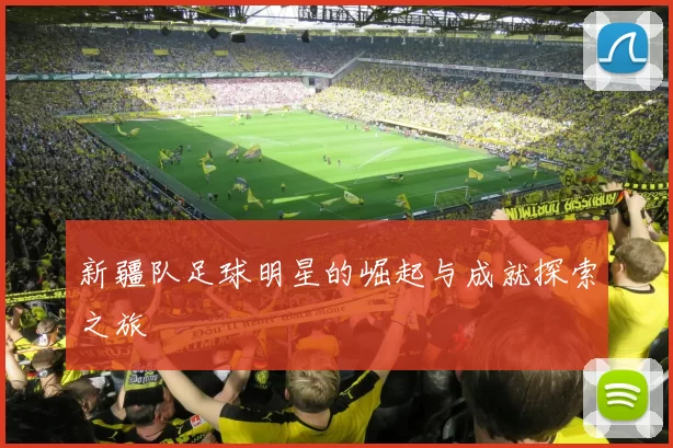 新疆队足球明星的崛起与成就探索之旅