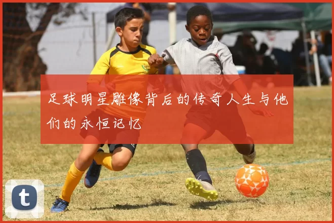 足球明星雕像背后的传奇人生与他们的永恒记忆