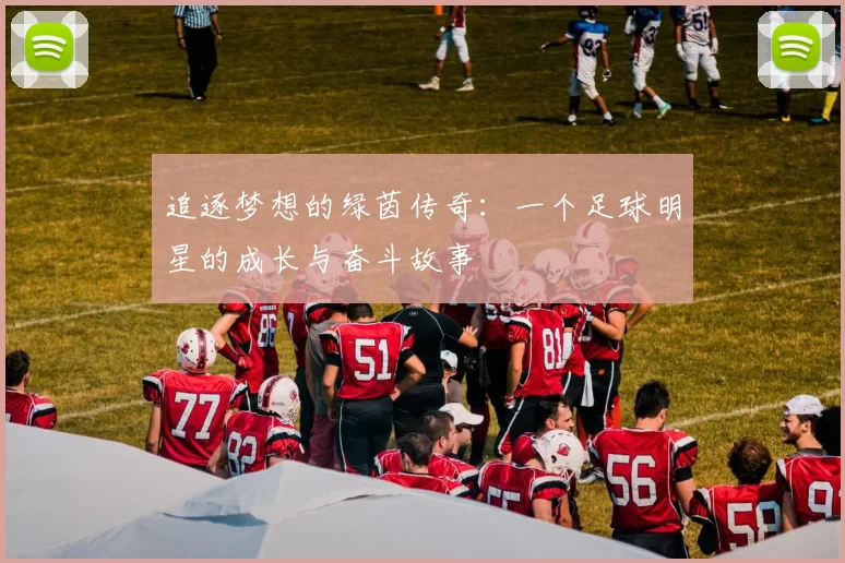 追逐梦想的绿茵传奇：一个足球明星的成长与奋斗故事