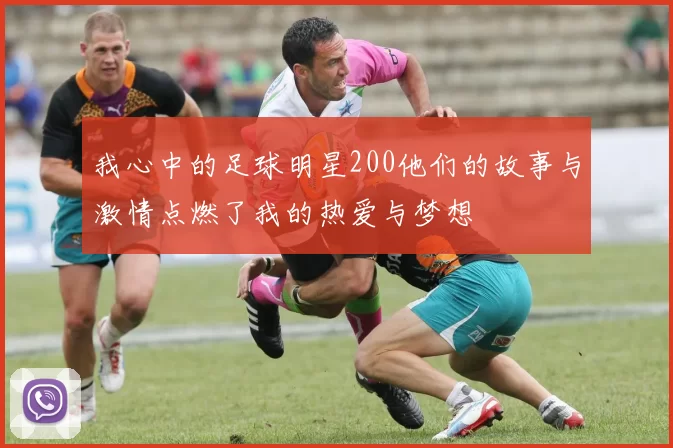 我心中的足球明星200他们的故事与激情点燃了我的热爱与梦想