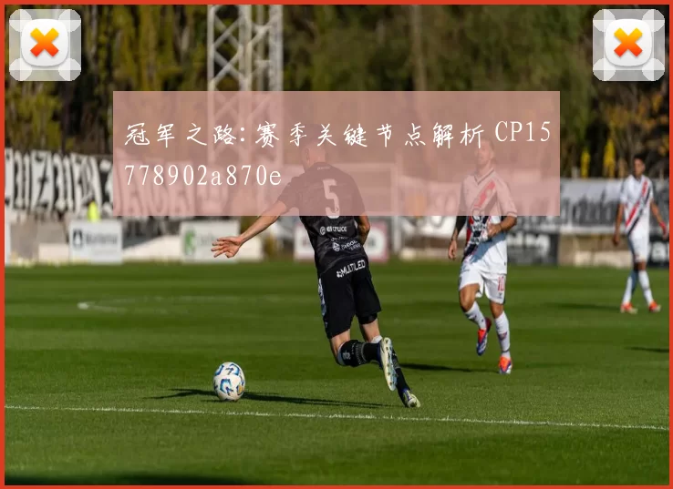 冠军之路:赛季关键节点解析 CP15778902a870e