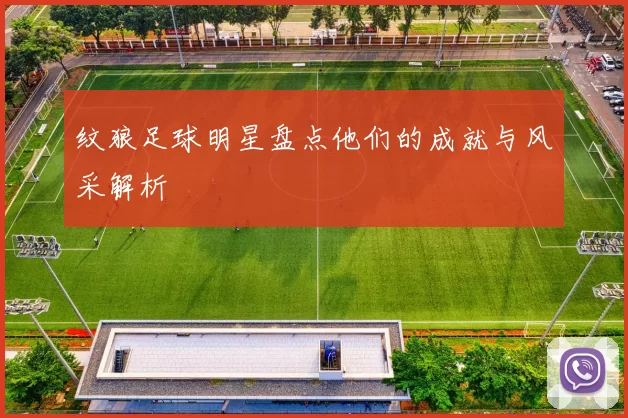 纹狼足球明星盘点他们的成就与风采解析