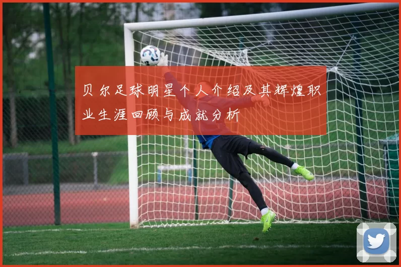 贝尔足球明星个人介绍及其辉煌职业生涯回顾与成就分析