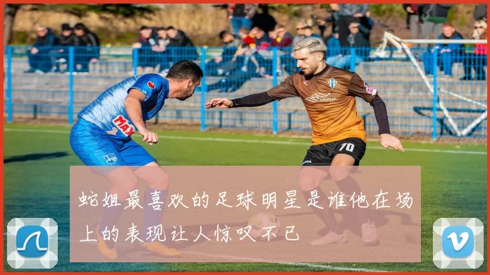 蛇姐最喜欢的足球明星是谁他在场上的表现让人惊叹不已
