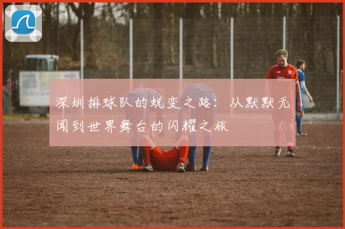 深圳排球队的蜕变之路：从默默无闻到世界舞台的闪耀之旅