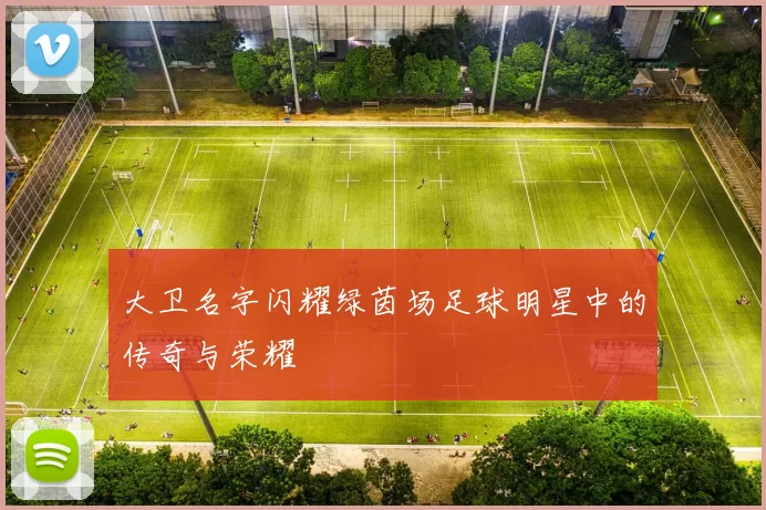 大卫名字闪耀绿茵场足球明星中的传奇与荣耀
