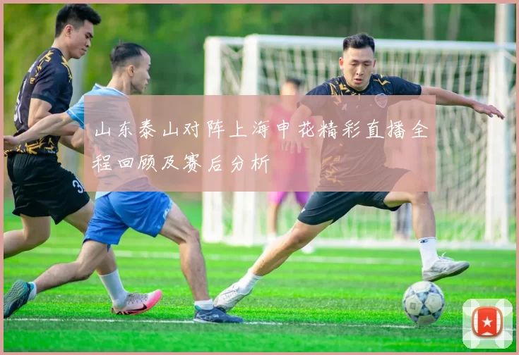 山东泰山对阵上海申花精彩直播全程回顾及赛后分析