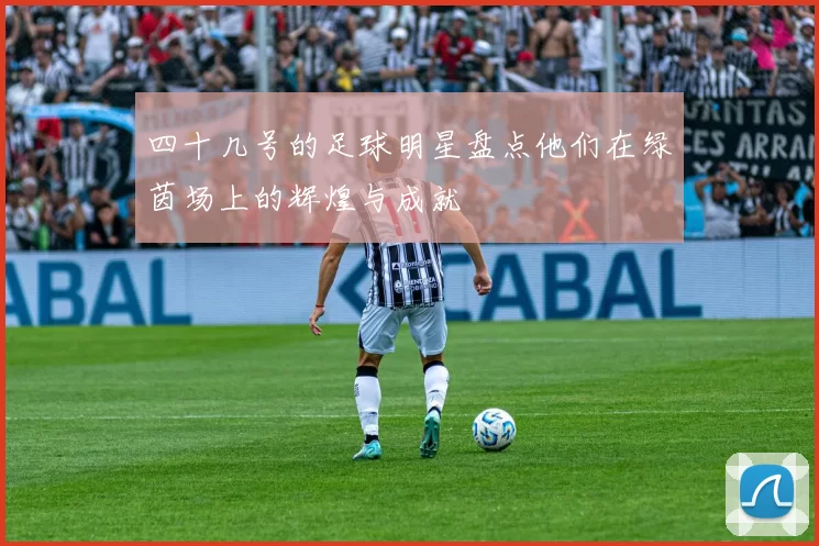 四十几号的足球明星盘点他们在绿茵场上的辉煌与成就